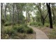 14 Conochie Place, Ormiston QLD 4160