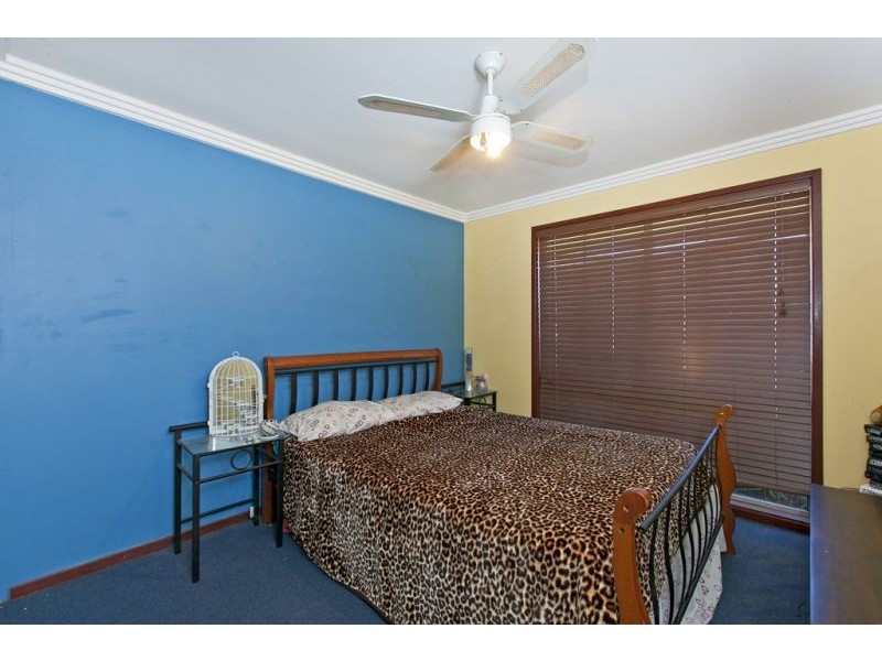 Alexandra Hills QLD 4161