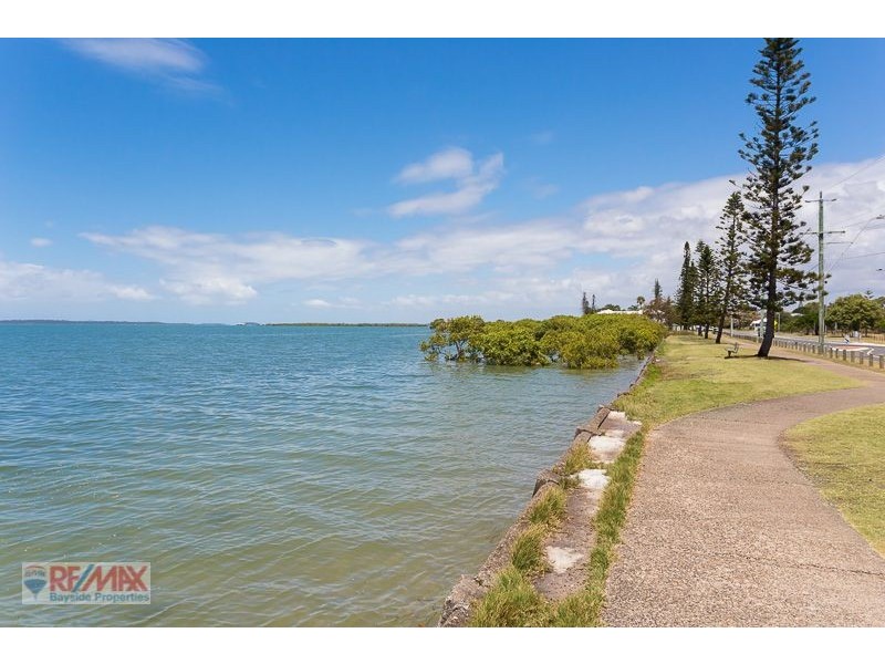 42 Littleshore Street, Cleveland QLD 4163