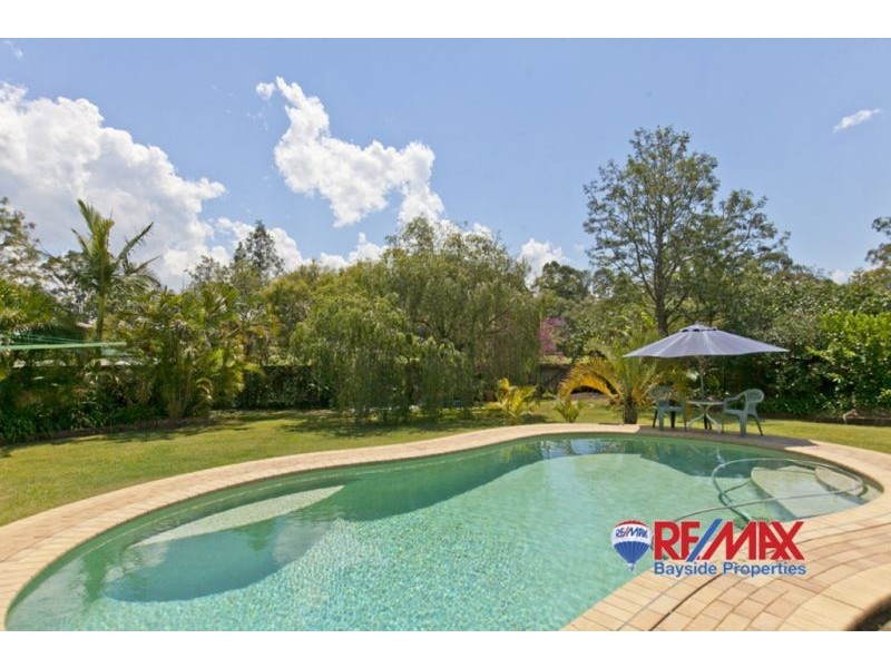 17 Macfarlan Street, Birkdale QLD 4159