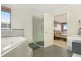 37 Ziggys Drive, Thornlands QLD 4164