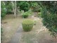 299 Finucane Rd  Alexandra Hills, Alexandra Hills QLD 4161