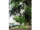 29 Kensington Street, Moore Park NSW 2021