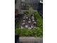 29 Kensington Street, Moore Park NSW 2021