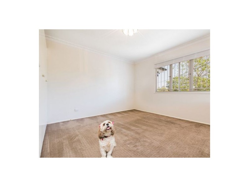 32 Long Street, Camp Hill QLD 4152