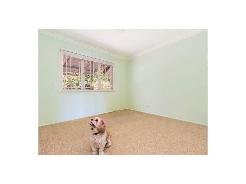 32 Long Street, Camp Hill QLD 4152