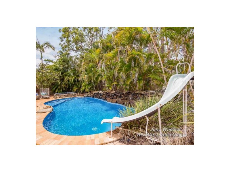 51 Wisteria Crescent, Mount Gravatt East QLD 4122