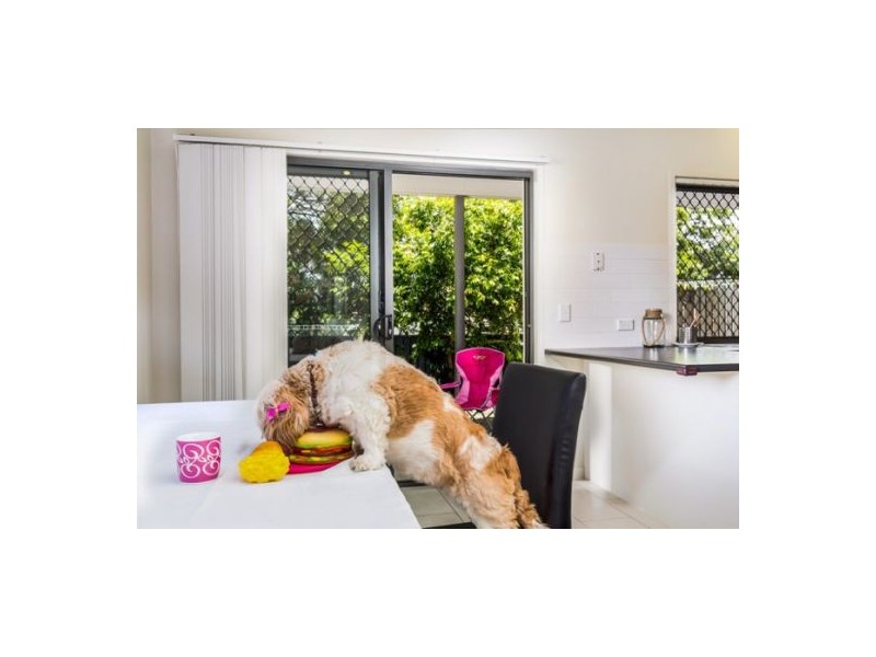 2/333 Stanley Road, Carina QLD 4152