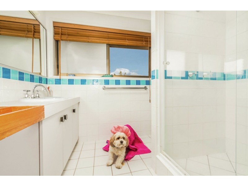 19 Laglan Street, Carindale QLD 4152