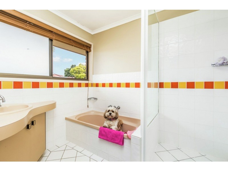 19 Laglan Street, Carindale QLD 4152