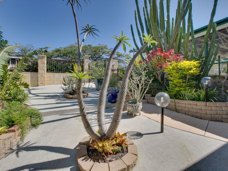 58 Tirrabella Street, Carina Heights QLD 4152