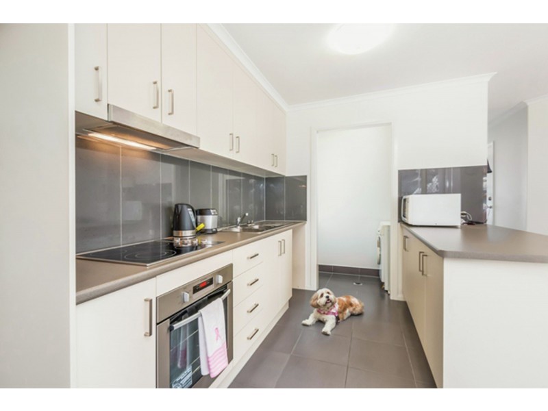 33/1160 Creek Road, Carina Heights QLD 4152