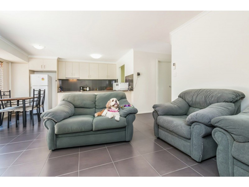 33/1160 Creek Road, Carina Heights QLD 4152