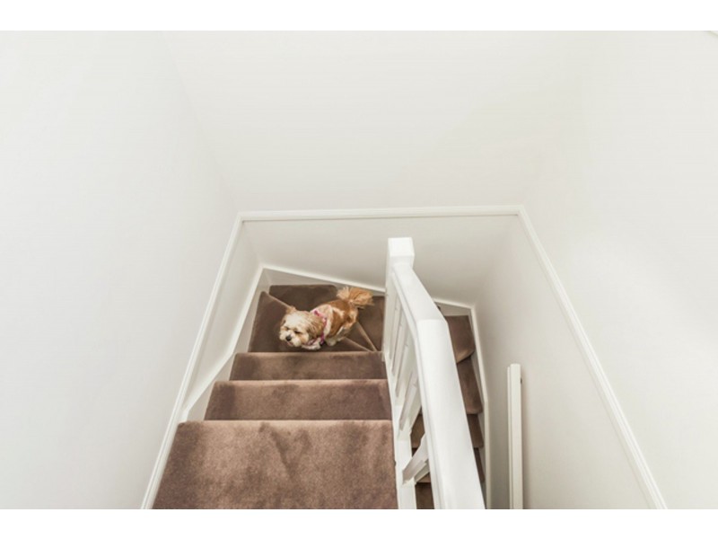 33/1160 Creek Road, Carina Heights QLD 4152