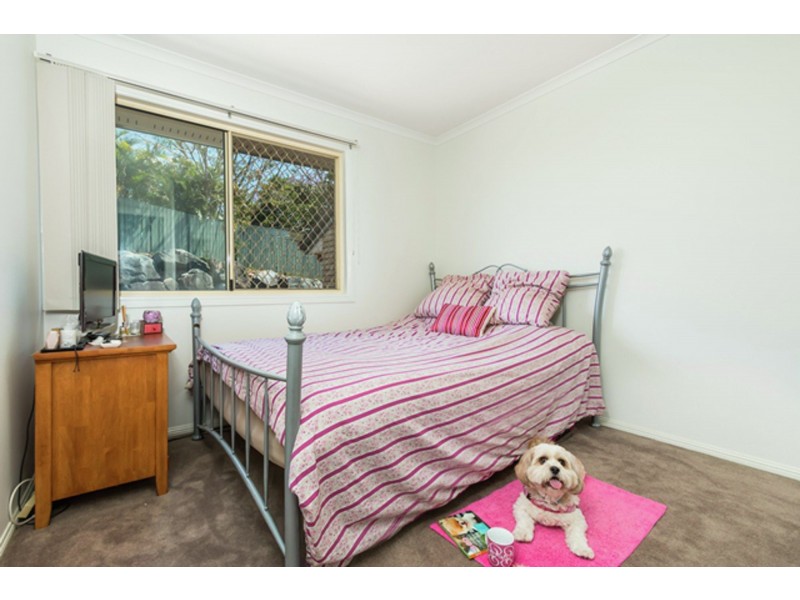 33/1160 Creek Road, Carina Heights QLD 4152