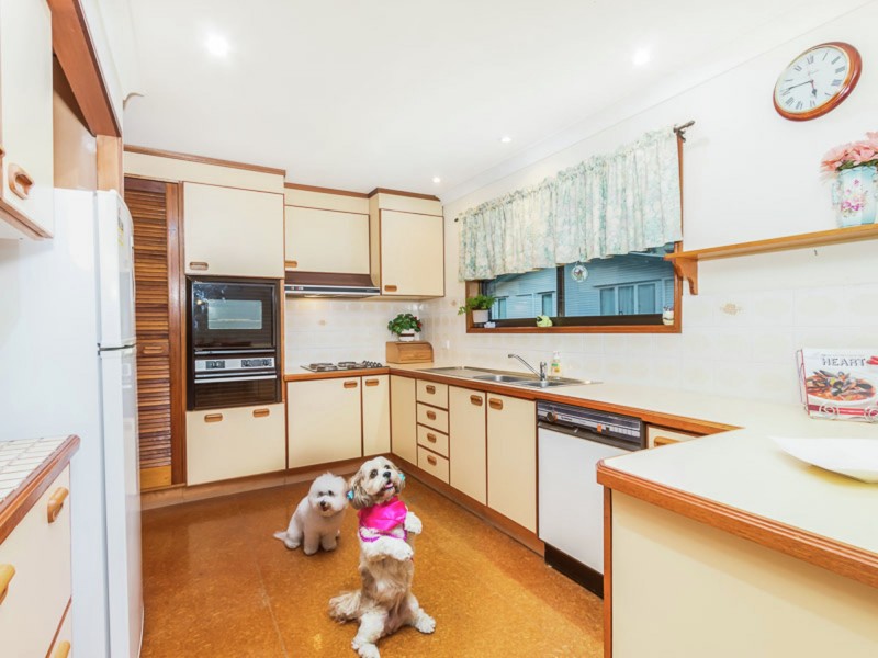 61 Bonneville Street, Holland Park West QLD 4121