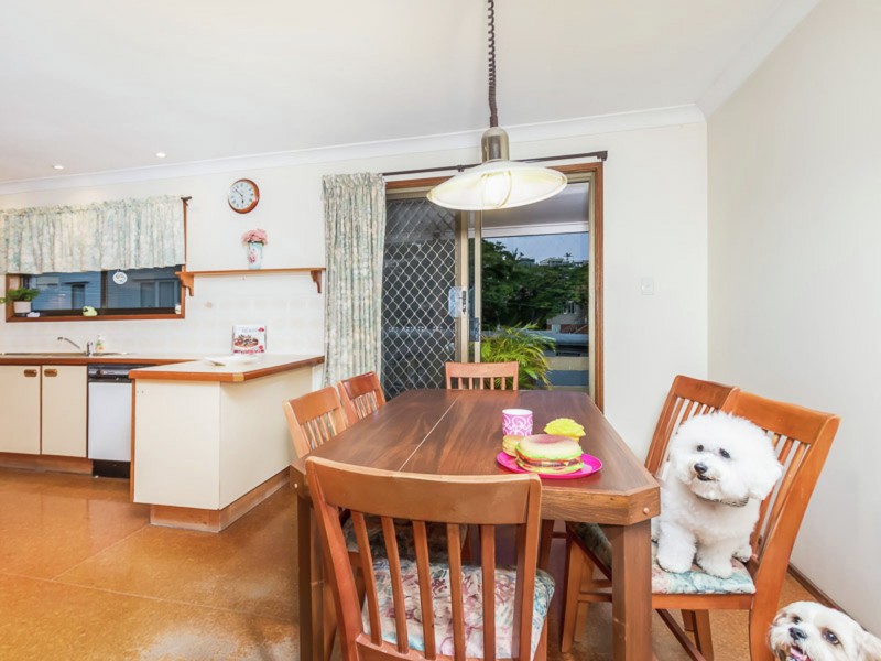 61 Bonneville Street, Holland Park West QLD 4121