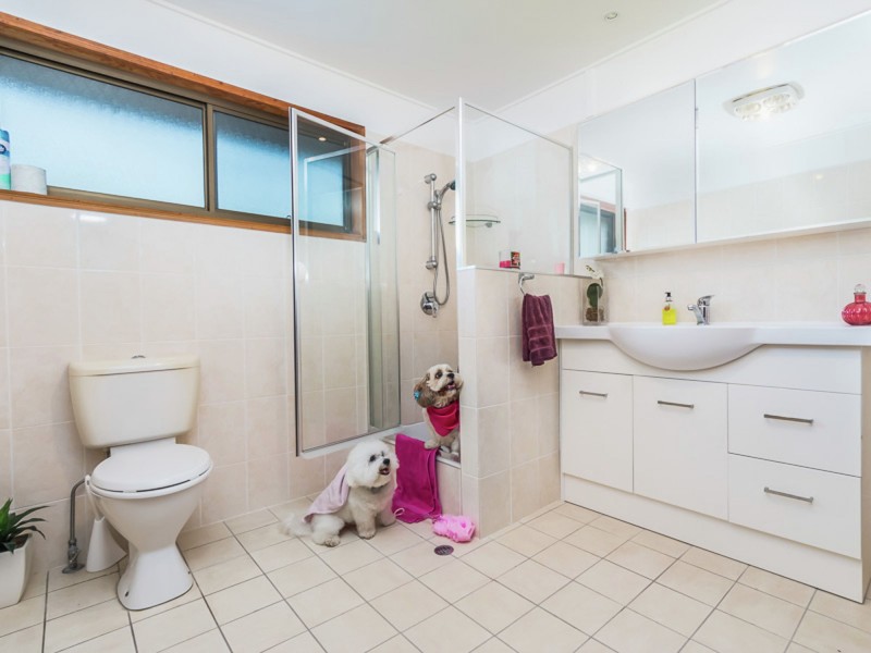 61 Bonneville Street, Holland Park West QLD 4121