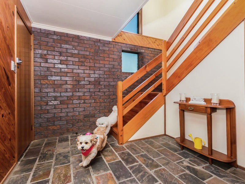 61 Bonneville Street, Holland Park West QLD 4121