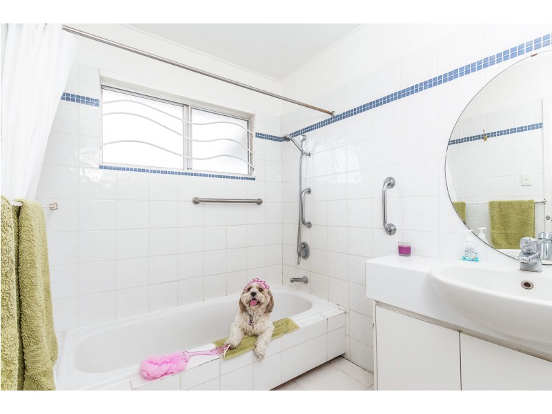 4 Gray Street, Carina QLD 4152