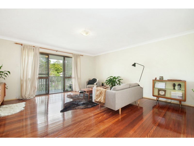 77 Renton Street, Camp Hill QLD 4152