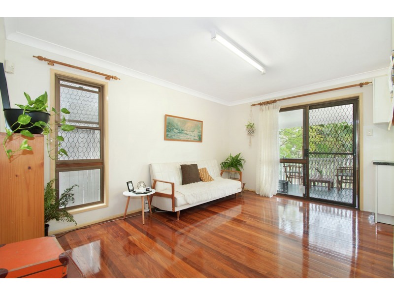 77 Renton Street, Camp Hill QLD 4152