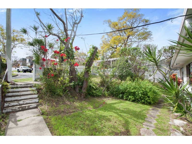 77 Renton Street, Camp Hill QLD 4152