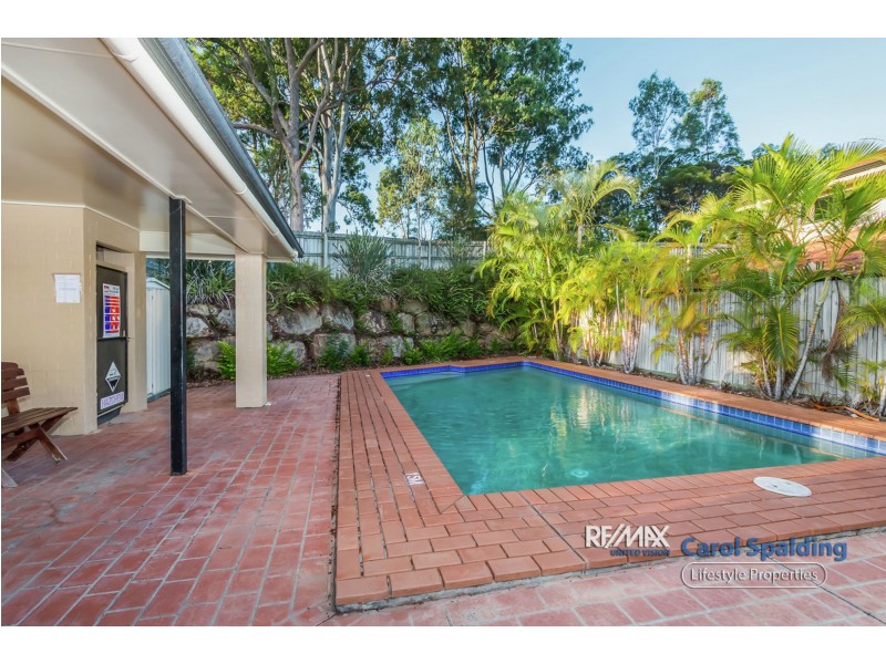 14/1158 Cavendish Road, Mount Gravatt East QLD 4122
