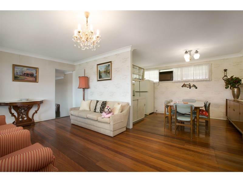 16 Sage Street, Carina QLD 4152