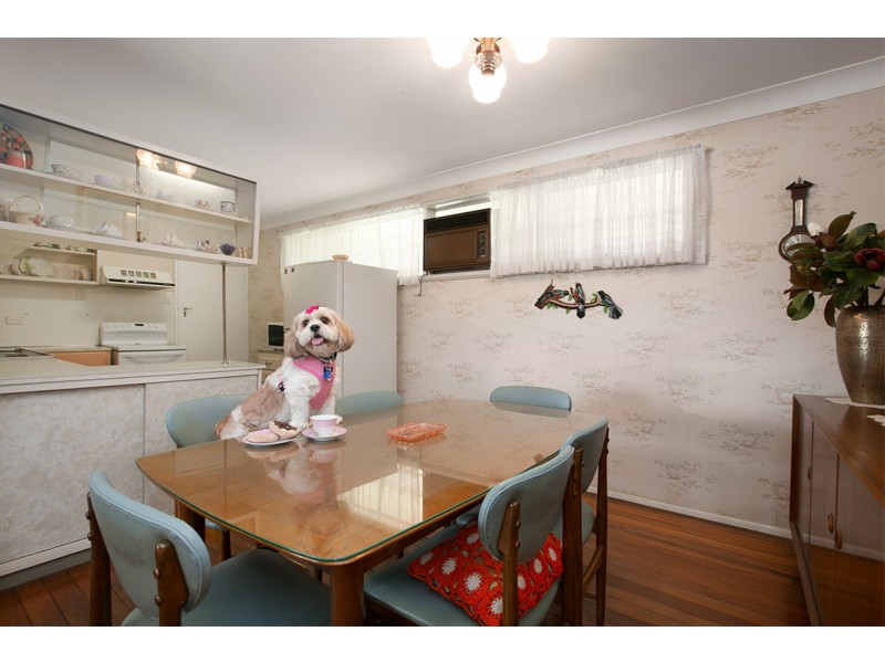 16 Sage Street, Carina QLD 4152