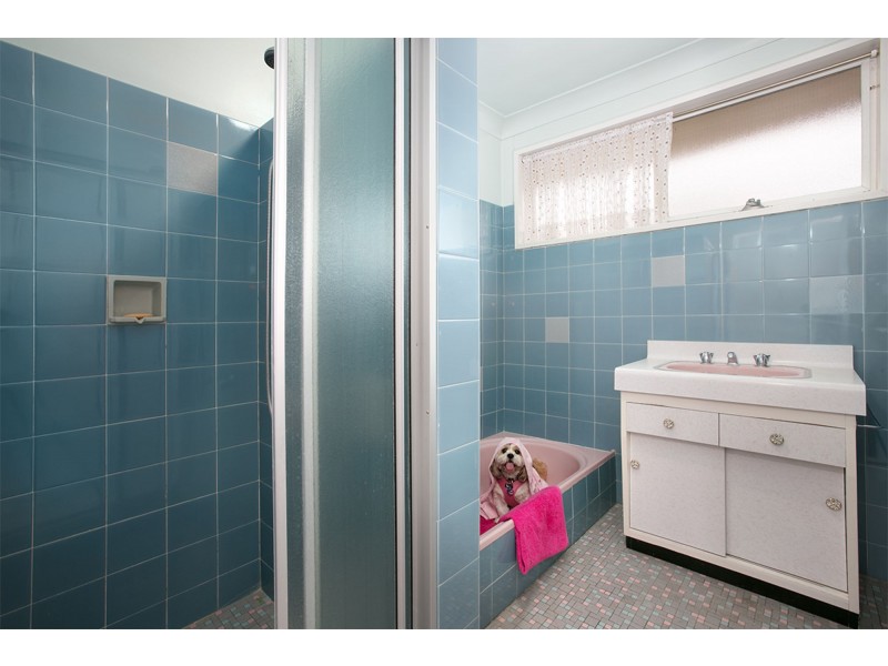 16 Sage Street, Carina QLD 4152