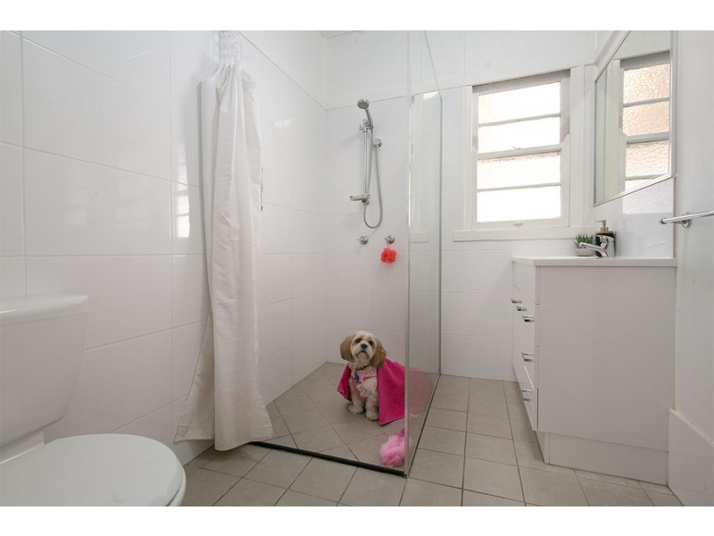 19 Clara Street, Camp Hill QLD 4152