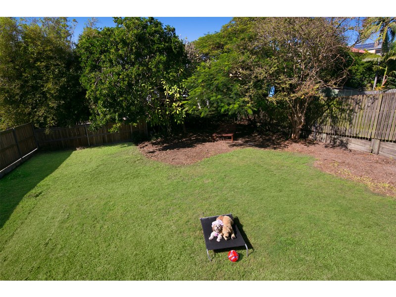 19 Clara Street, Camp Hill QLD 4152