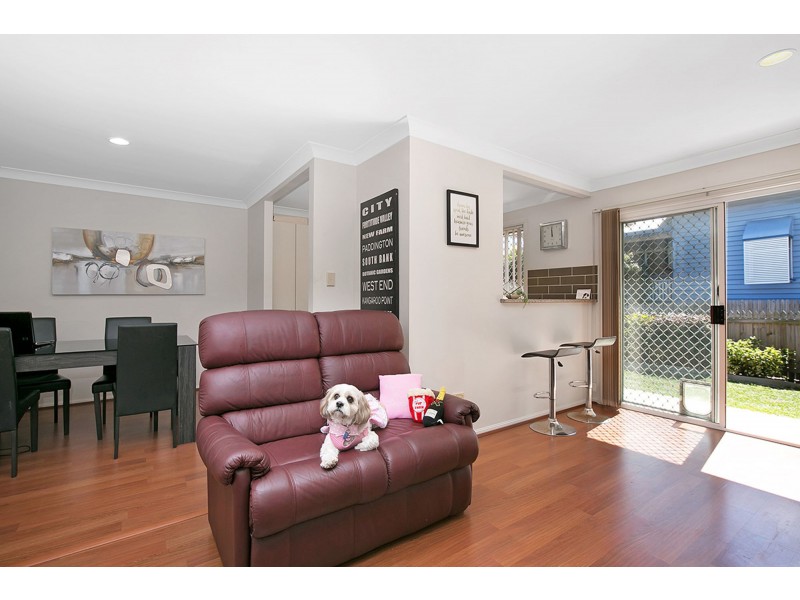 2 51 Adelaide Street, Carina QLD 4152