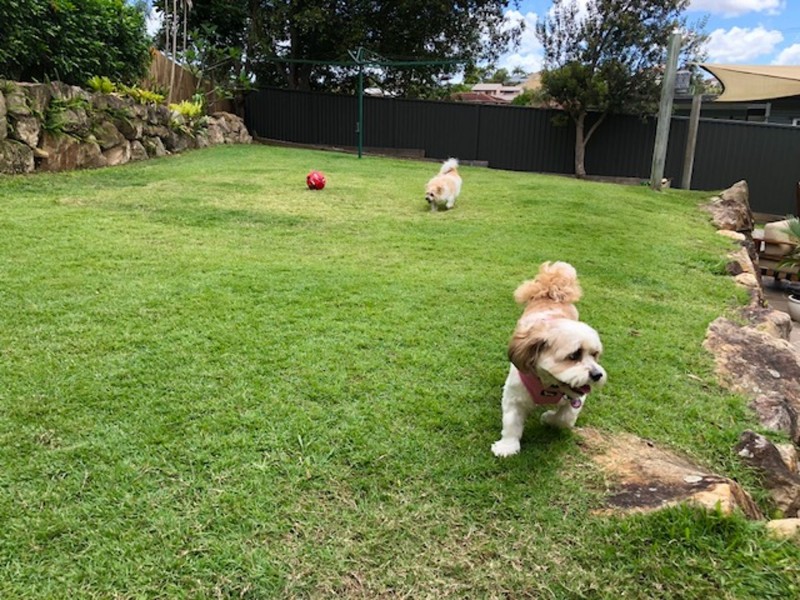 4 Gilwell Street, Carina QLD 4152