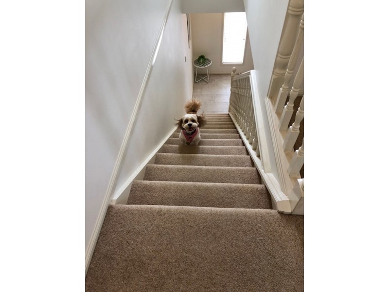 7/152 Birdwood Road, Carina Heights QLD 4152