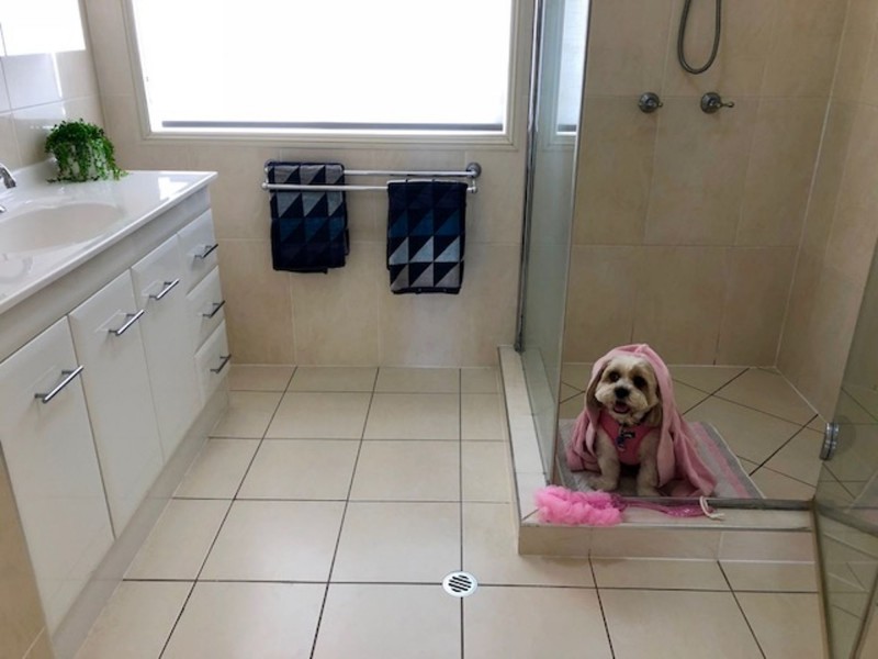 7/152 Birdwood Road, Carina Heights QLD 4152