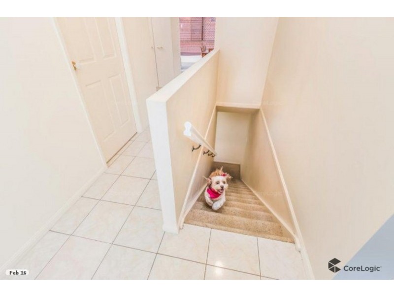 6/344 Pine Mountain Road, Carina Heights QLD 4152