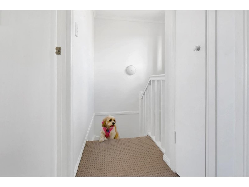 37/1160 Creek Road, Carina Heights QLD 4152