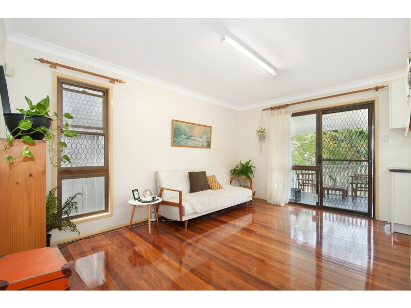 77 Renton Street, Camp Hill QLD 4152