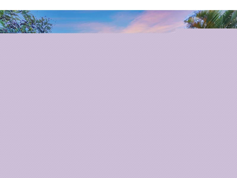 10 Carole Street, Capalaba QLD 4157