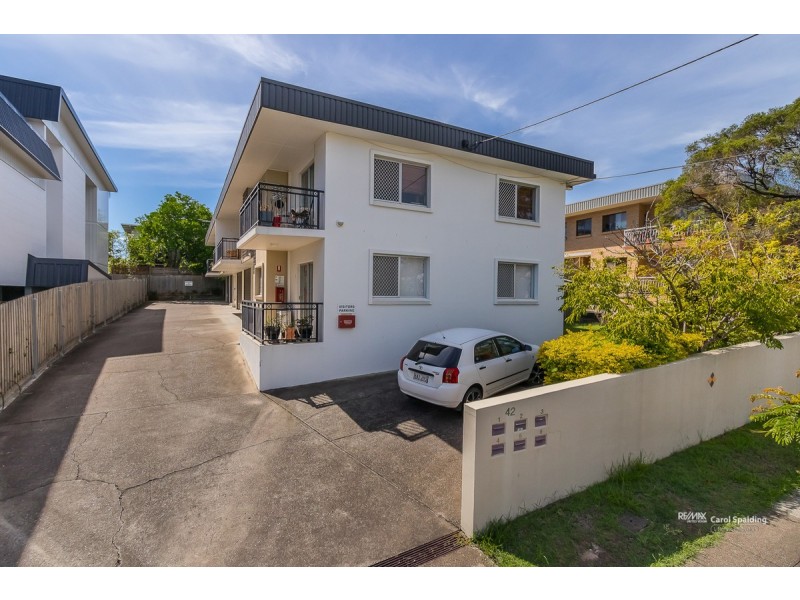 3/42 Nicklin Street, Coorparoo QLD 4151