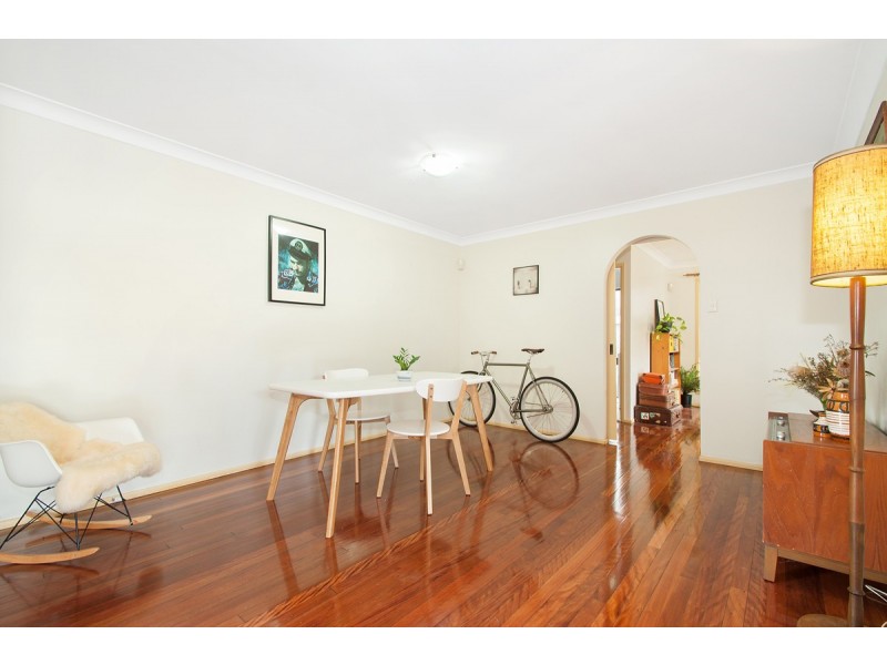 77 Renton Street, Camp Hill QLD 4152