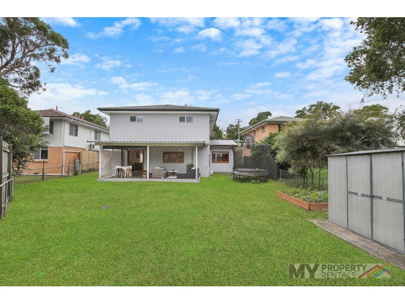 71 Renton Street, Camp Hill QLD 4152