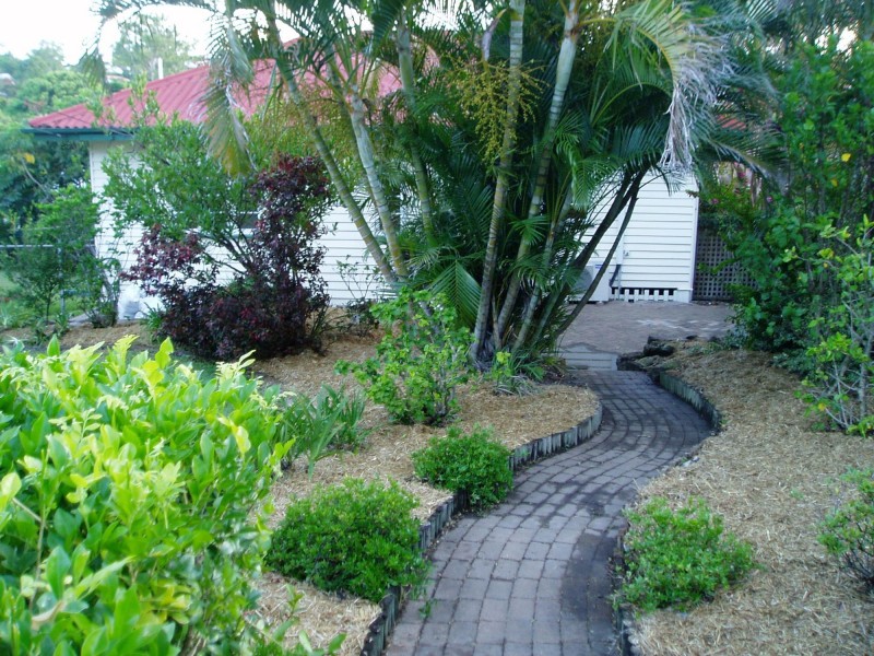 49 Albert Street, Camp Hill QLD 4152