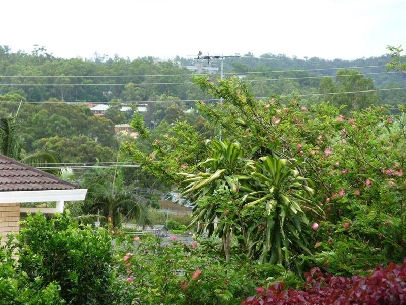 16 Koumala Street, Mansfield QLD 4122