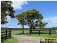 Lot 591 Right Bank Road, Belmore River NSW 2440