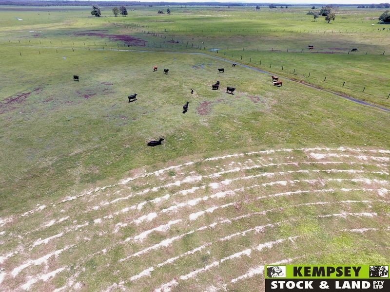 Lot 591 Right Bank Road, Belmore River NSW 2440