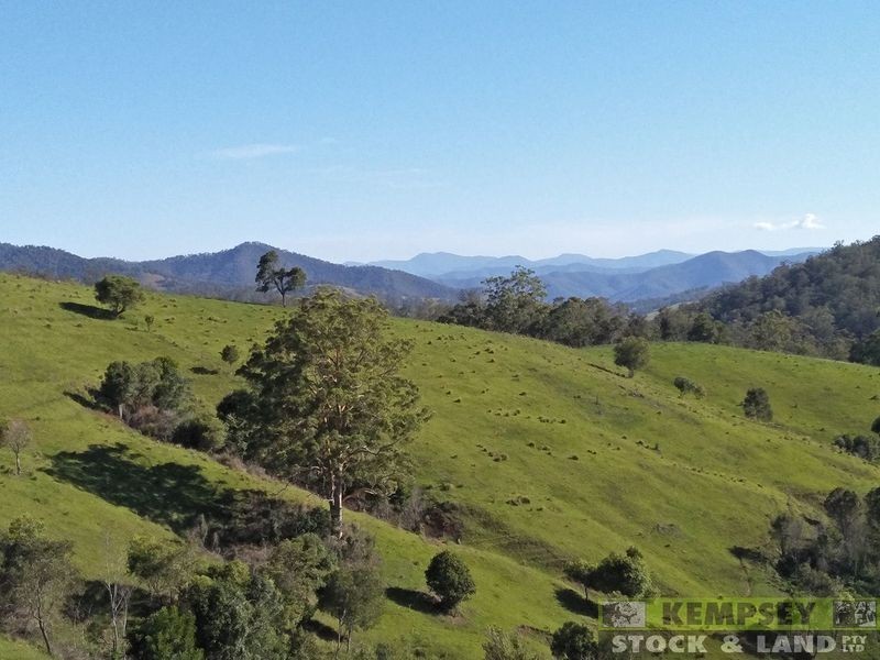 1279 Nulla Nulla Creek Road, Bellbrook NSW 2440