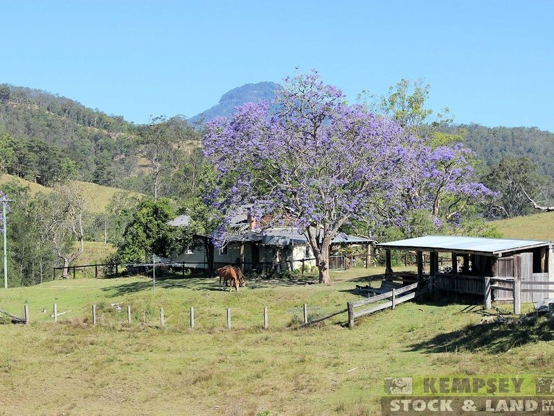 1279 Nulla Nulla Creek Road, Bellbrook NSW 2440